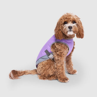 Chill Seeker Cooling Vest Wet Reveal  in Wet Reveal Smiley, Canada Pooch Dog Vest