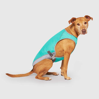 Chill Seeker Cooling Vest Wet Reveal in Wet Reveal Smiley, Canada Pooch Dog Cooling
