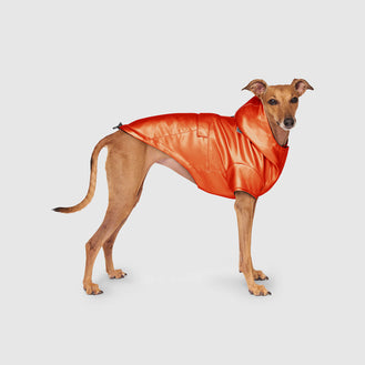 Cold Front Raincoat in Orange, Canada Pooch Dog Coat