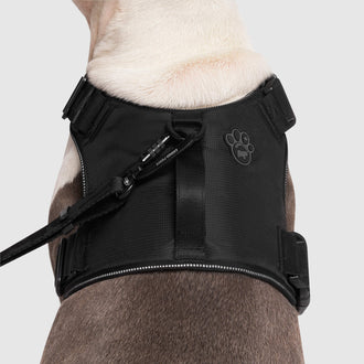 Complete Control Harness in Black, Canada Pooch, Dog Harness|| color::black|| size::XL