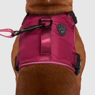 Complete Control Harness in Plum, Canada Pooch, Dog Harness|| color::plum|| size::M