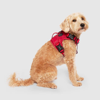 Complete Control Harness in Red Camo, Canada Pooch, Dog Harness