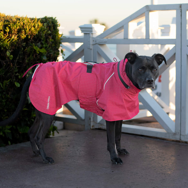 Canada Pooch Complete Coverage Raincoat Reflective Black SIze 16