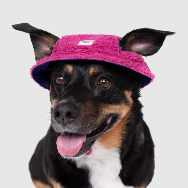 Cool Factor Puppy & Dog Fleece Bucket Hat