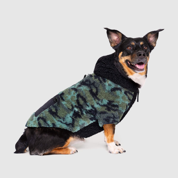 Dog hoodie pretty little thing best sale