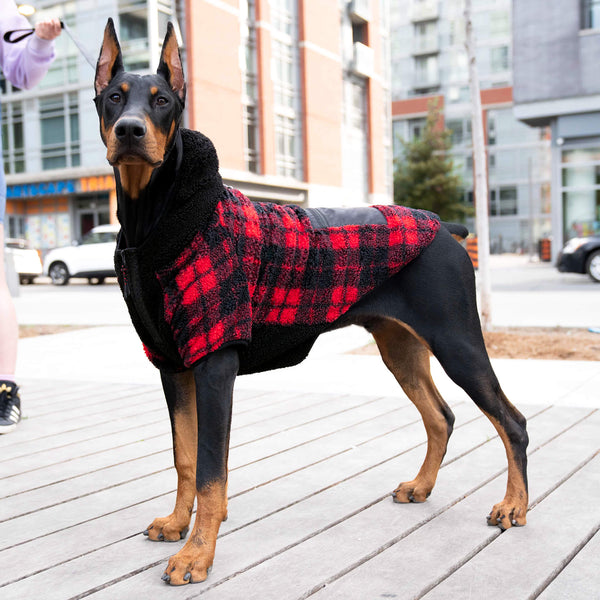 Cool Factor Sherpa Hoodie for Dogs Canada Pooch