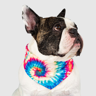 Cooling Bandana in Tie Dye, Canada Pooch Cooling Bandana