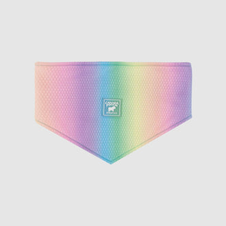 Cooling Bandana in Rainbow, Canada Pooch Cooling Bandana || color::rainbow || size::na