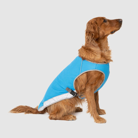 Dog down vest deals