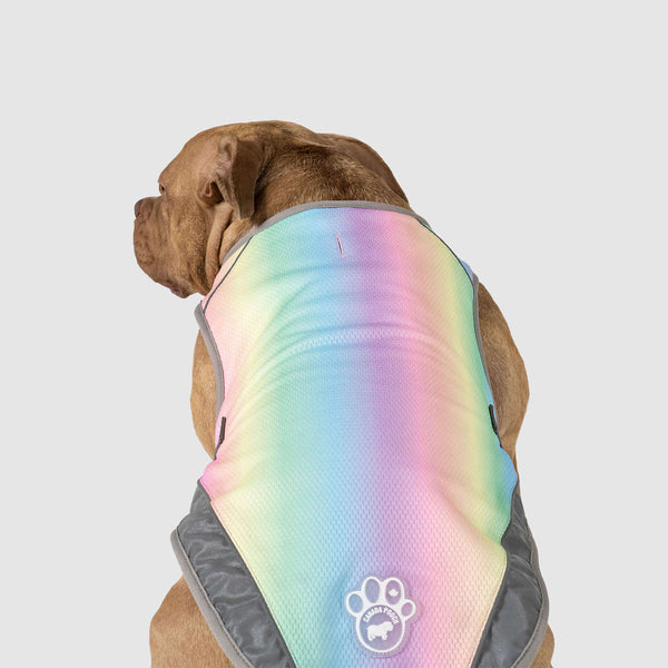 Dog cooling vest petbarn top