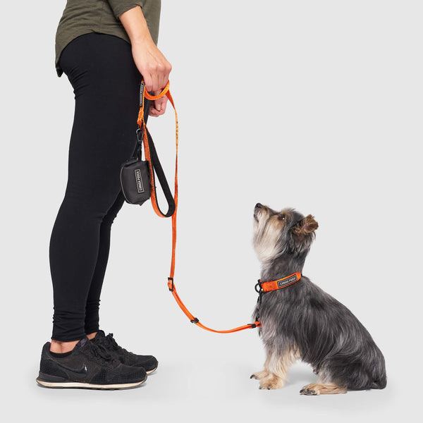 Dog poop bag dispenser for leash hotsell