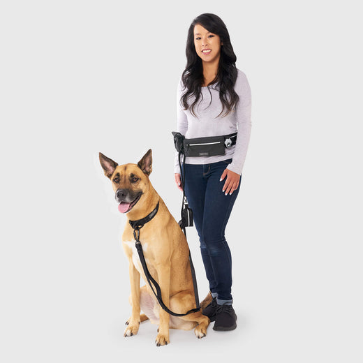 Utility Belt in Black Reflective, Canada Pooch Dog Walking Essentials