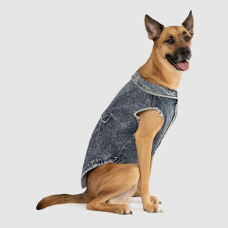 Downtown Denim Vest in Blue, Canada Pooch Dog Denim Vest