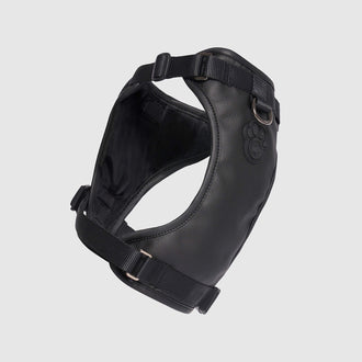 Eco+ Leather Harness in Black, Canada Pooch, Dog Harness|| color::black|| size::na
