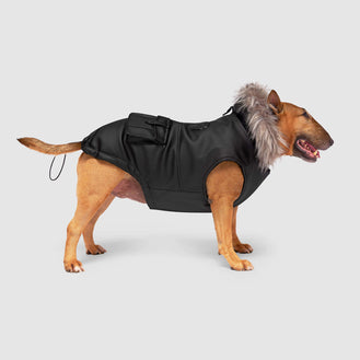 Eco+ Alaskan Army Parka in Black, Canada Pooch Dog Parka