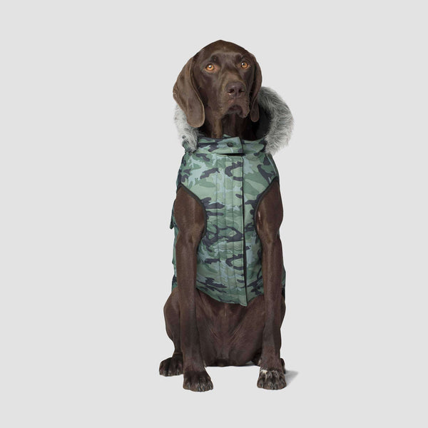 Canada pooch hot sale everest explorer