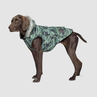 Everest Explorer Dog Vest in Green Camo, Canada Pooch Dog Vest 