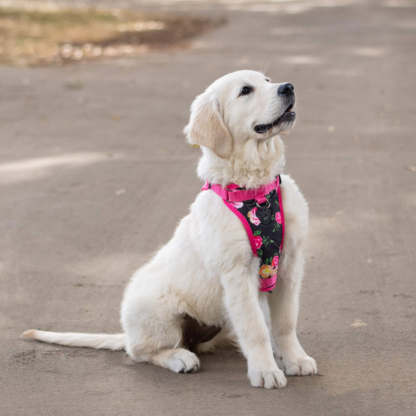 Dog harness floral shop