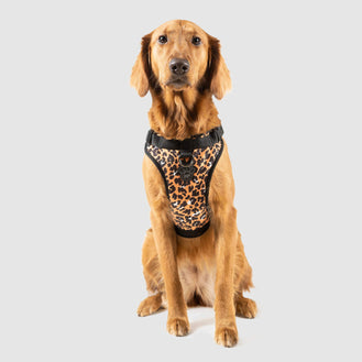The Everything Dog Harness in Leopard, Canada Pooch Dog Harness 