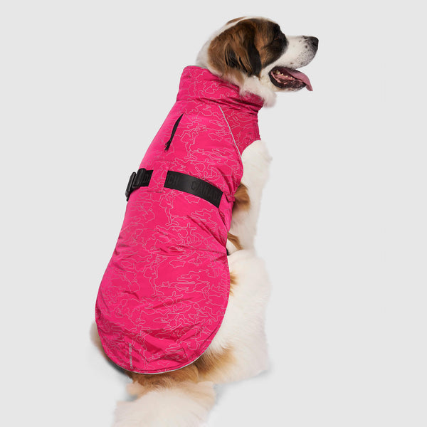 Hi vis dog coat waterproof best sale