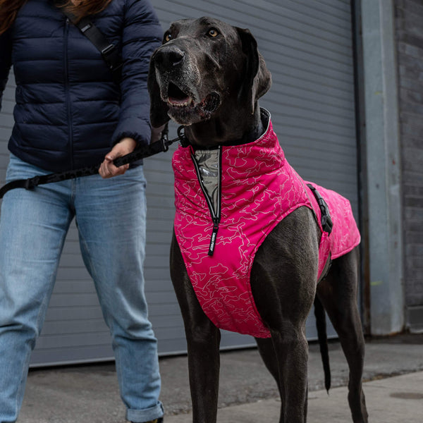 Canada shop pooch coats