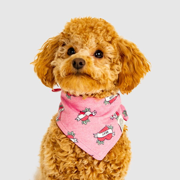 Follow Me Fun Dog Bandana Canada Pooch