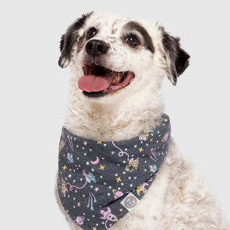 Follow Me Bandana in Outer Space, Canada Pooch Dog Bandana