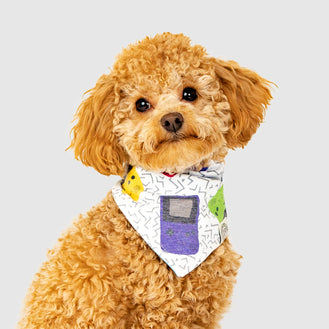 Follow Me Dog Reversible Bandana in Game On Print, Canada Pooch