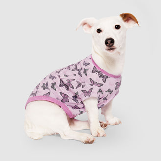 Follow Me Tee in Butterfly, Canada Pooch Dog T Shirt