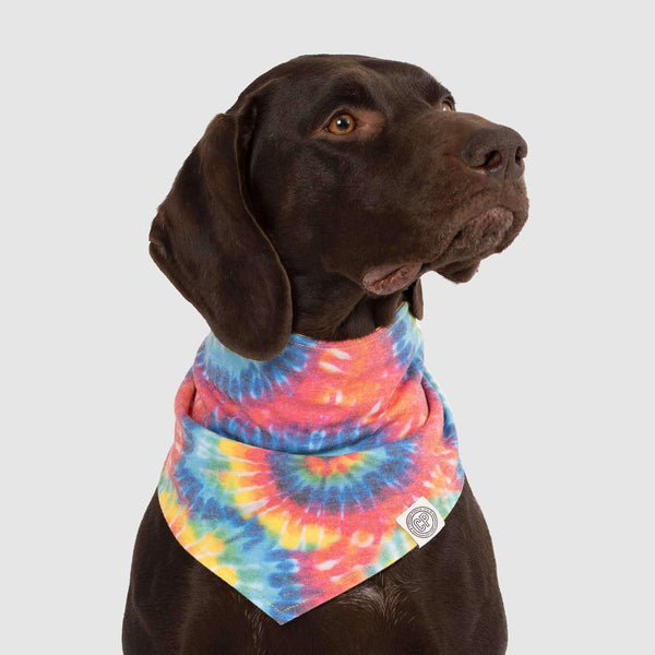 Tie on dog bandana outlet