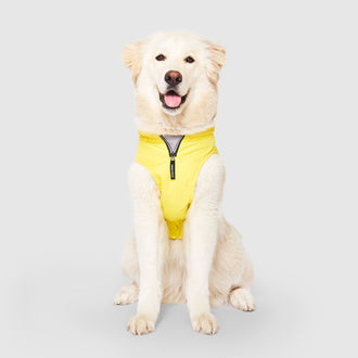 Grow-With-Me Raincoat in Yellow, Canada Pooch Dog Raincoat|| color::yellow|| size::L|| name:: Marsha the Mixed Rescue || weight::60