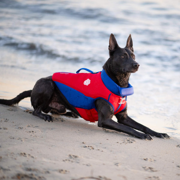 German shepherd clearance life jacket