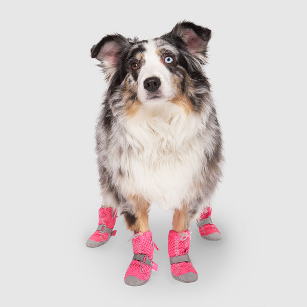 Protecting Paws: The Best Shoes for Dogs on Hot Pavement