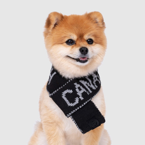 Logo Dog Scarf Eco Friendly Dog Products Canada Pooch Black M