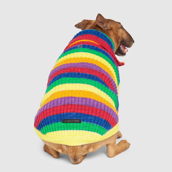 Louie Louie Dog Sweater - Club Huey