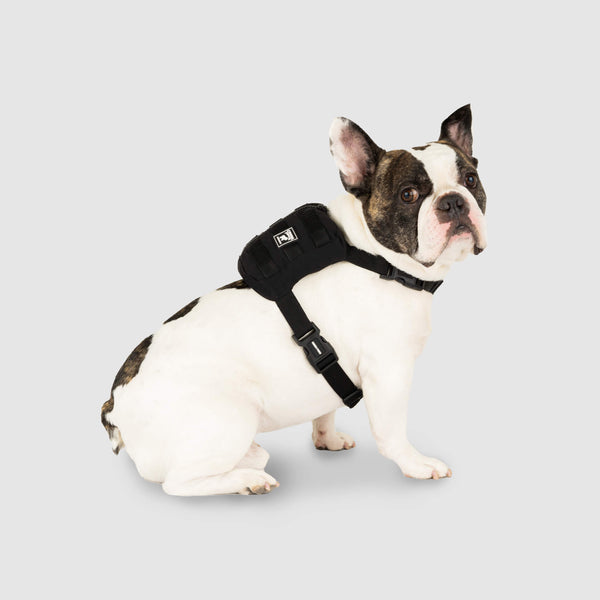 Packit french bull sales