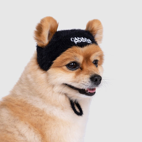PawparazziBeanie_Black_Side_la