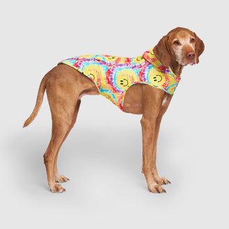Pick Me Poncho in Tie Dye Smiley, Canada Pooch Raincoat