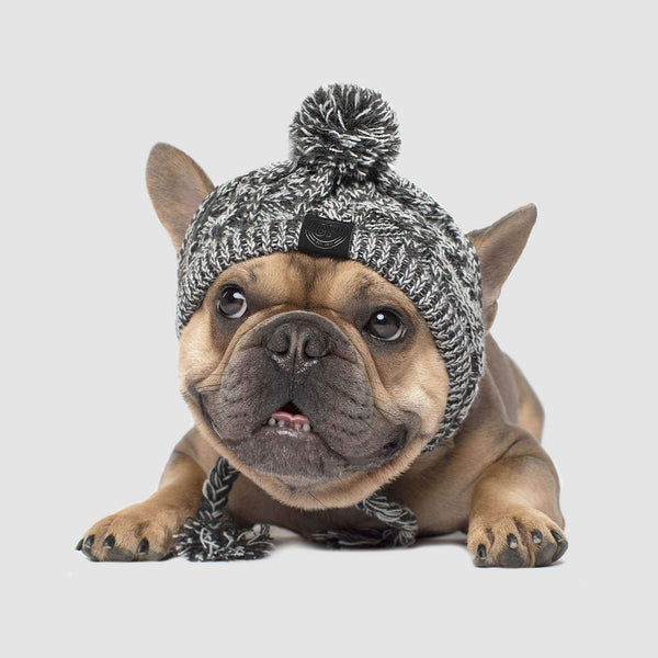Polar Pom Pom Dog Winter Hat Canada Pooch