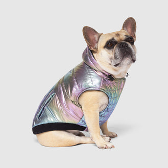 Shiny Puffer Dog Vest in Iridescent, Canada Pooch Dog Puffer Vest