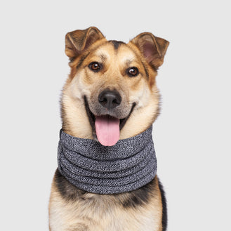 Sierra Dog Scarf in Grey, Canada Pooch Dog Scarf
