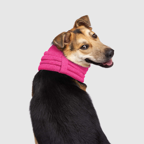 Knit dog outlet collar