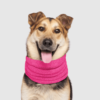 Sierra Dog Scarf in Grey, Canada Pooch Dog Scarf