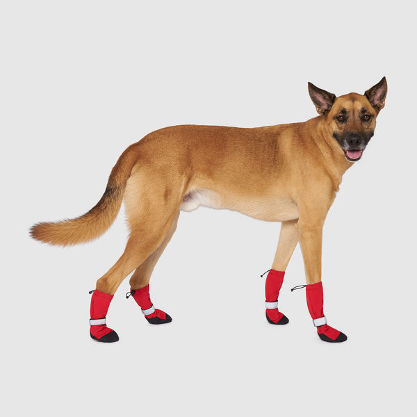 The Best Winter Dog Boots: Soft Shield