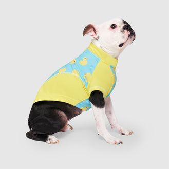 Sun Shield Tee in Rubber Ducks, Canada Pooch Dog T Shirt