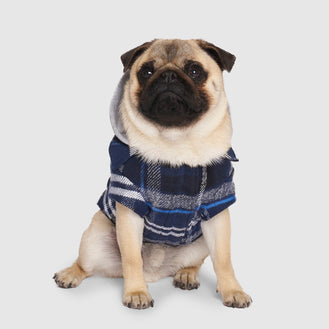 The Shacket in Blue Plaid, Canada Pooch Dog Jacket