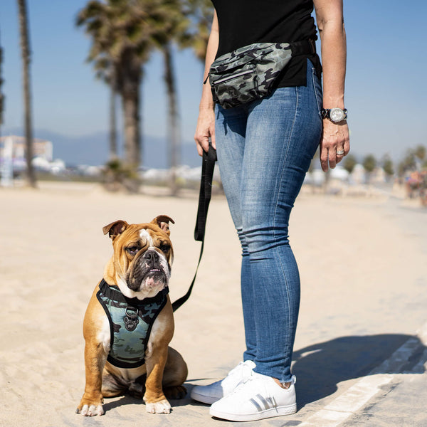 Dog walking bum bag store