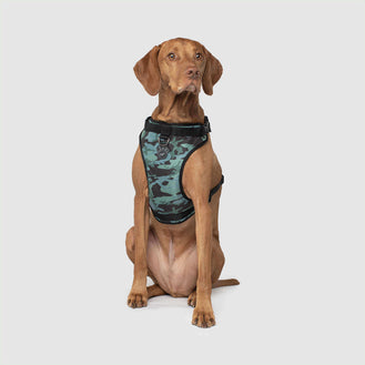 The Everything Dog Harness in Green Camo, Canada Pooch Dog Harness