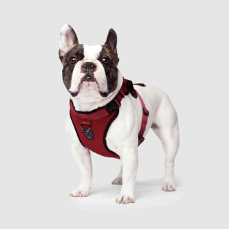 The Everything Dog Harness in Solid Red, Canada Pooch Dog Harness