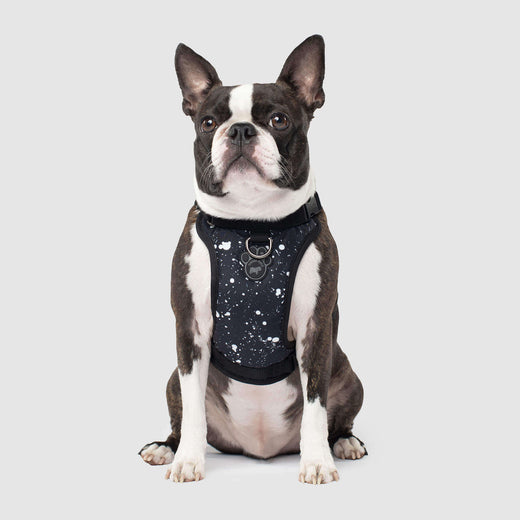 The Everything Dog Harness in Black Splatter, Canada Pooch Dog Harness